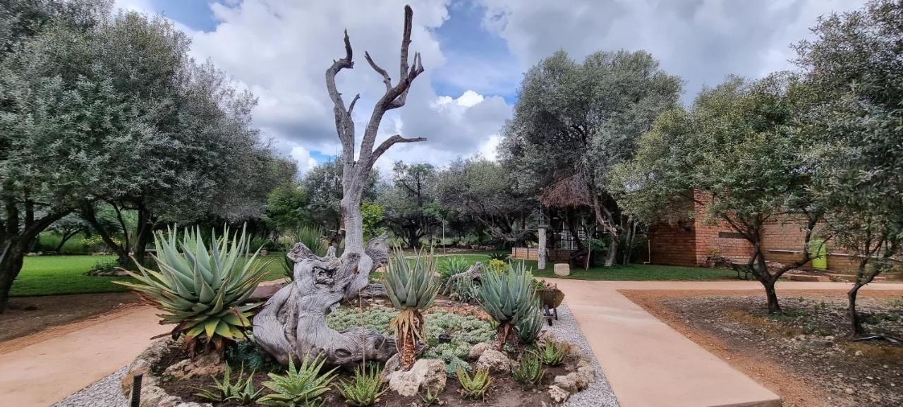 Olienhoff Guesthouse And Rest Camp Otavi エクステリア 写真